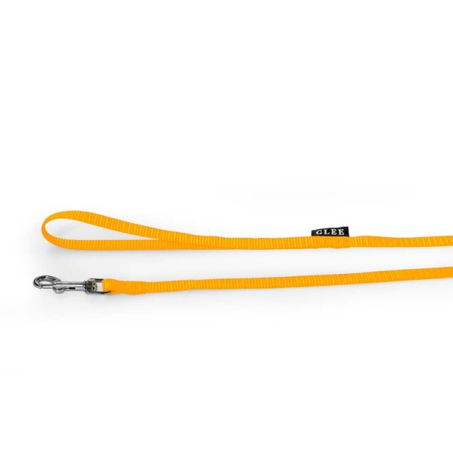 Glee Οδηγός Yellow Large 25mmx122cm