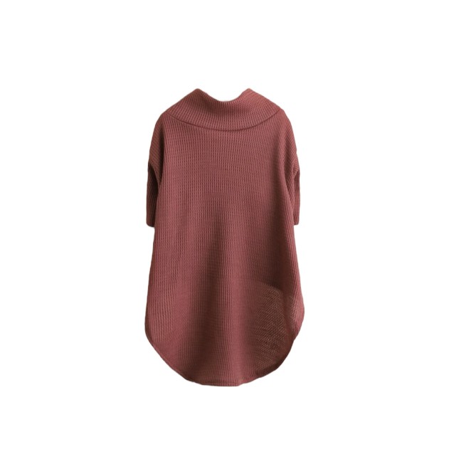 Plain Dog Shirt XS 26cm