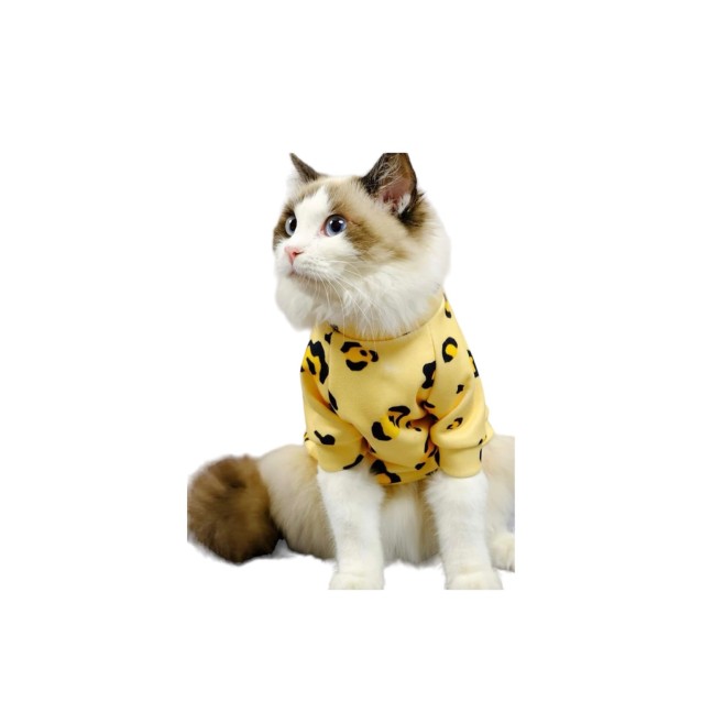 Yellow Leopard 39cm