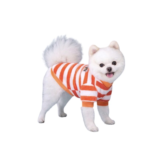 Dog Colors Orange XXL 45cm