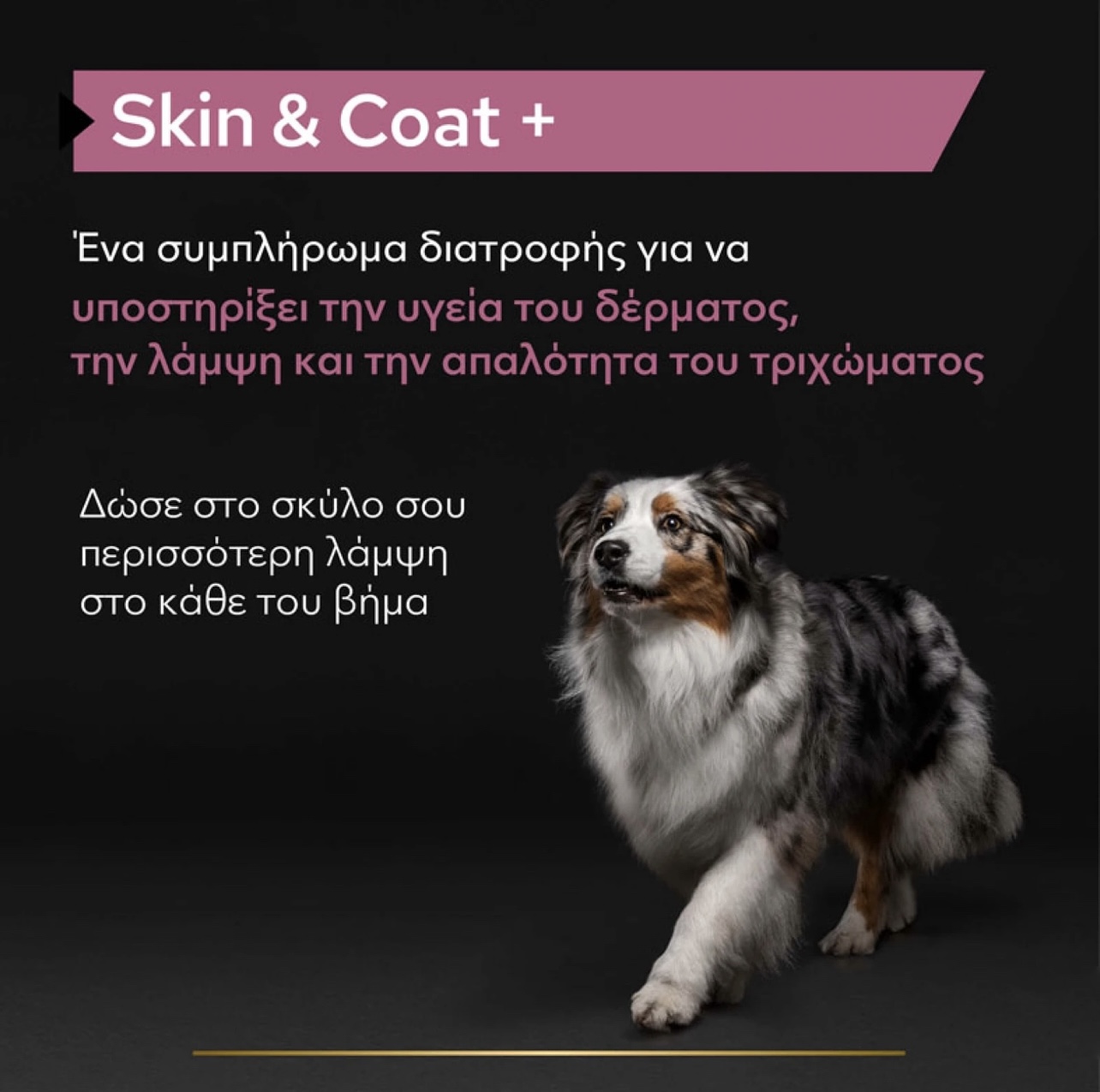 Purina Pro Plan Dog Skin & Coat & Συμπλήρωμα Διατροφής Σε Έλαιο 250ml