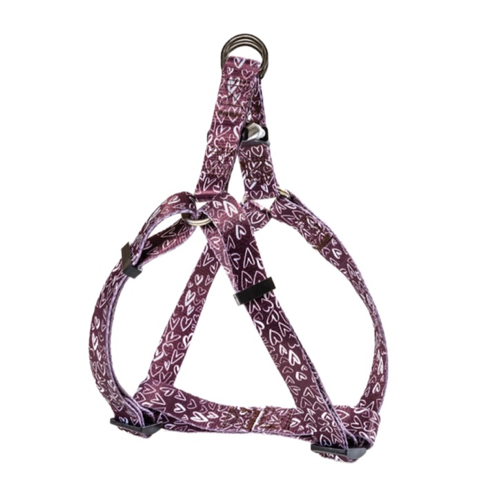 Glee Σαμαράκι Hearts Small