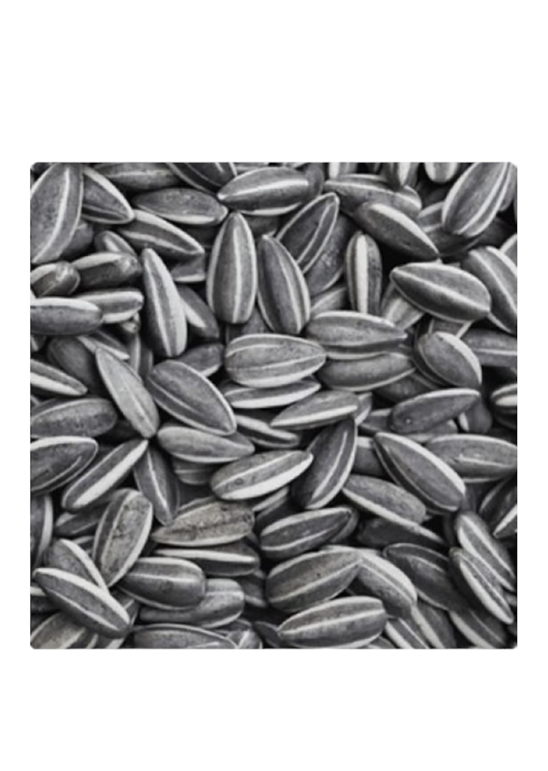 Ηλιόσπορος ψιλός Ριγέ 1Kg