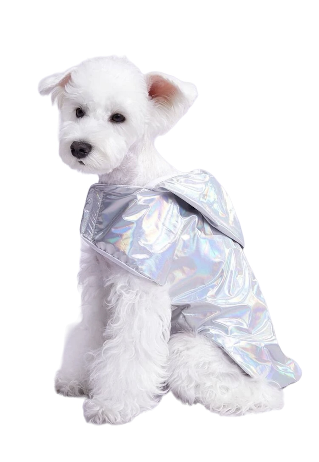 Neon Raincoat XL 43cm