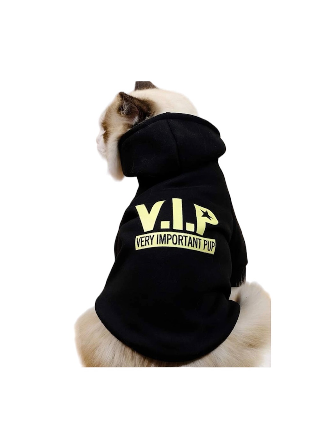 VIP Graphic 33cm