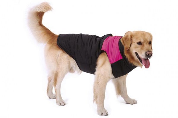 Jacket Black/fuchsia XL 45cm