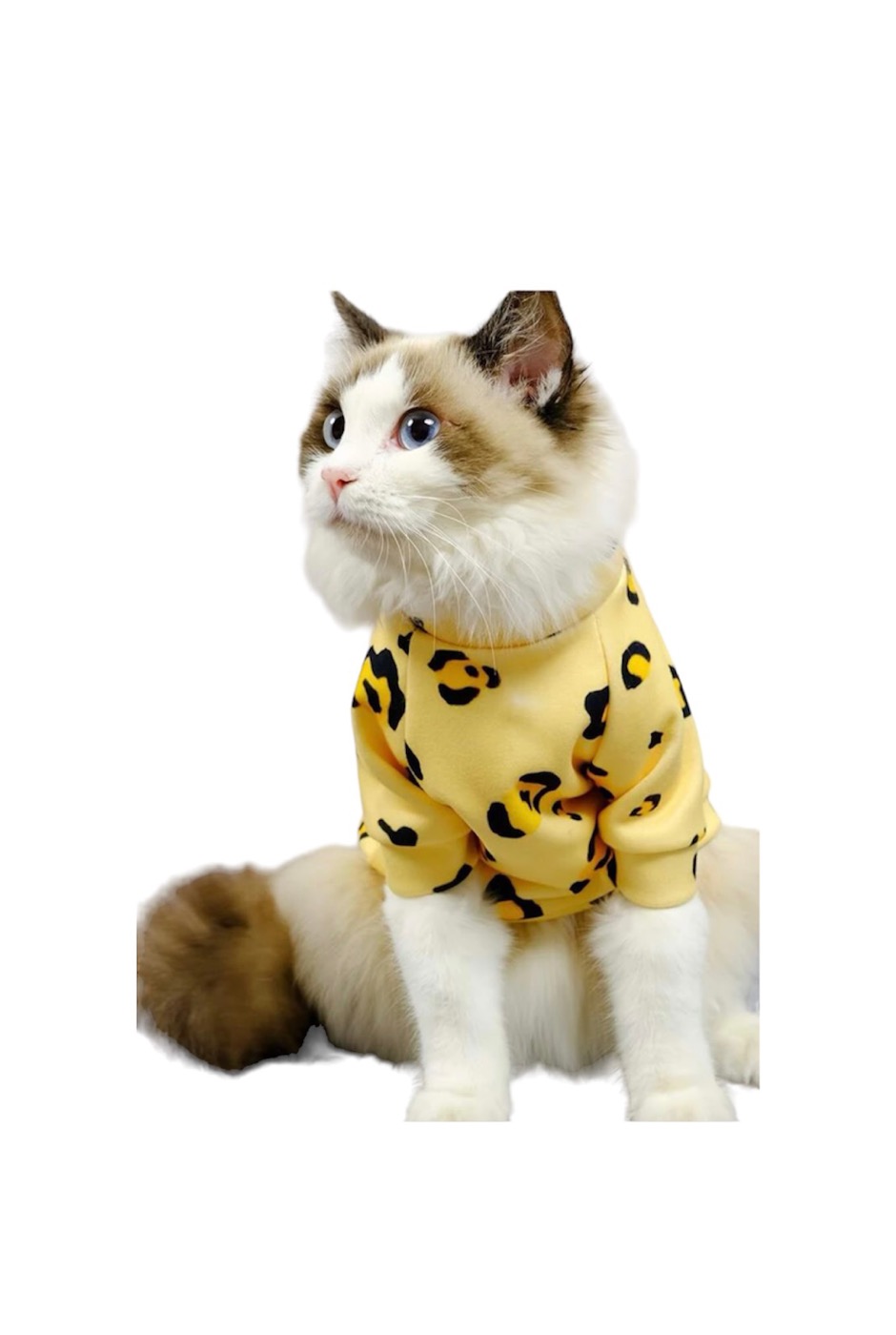Yellow Leopard 39cm