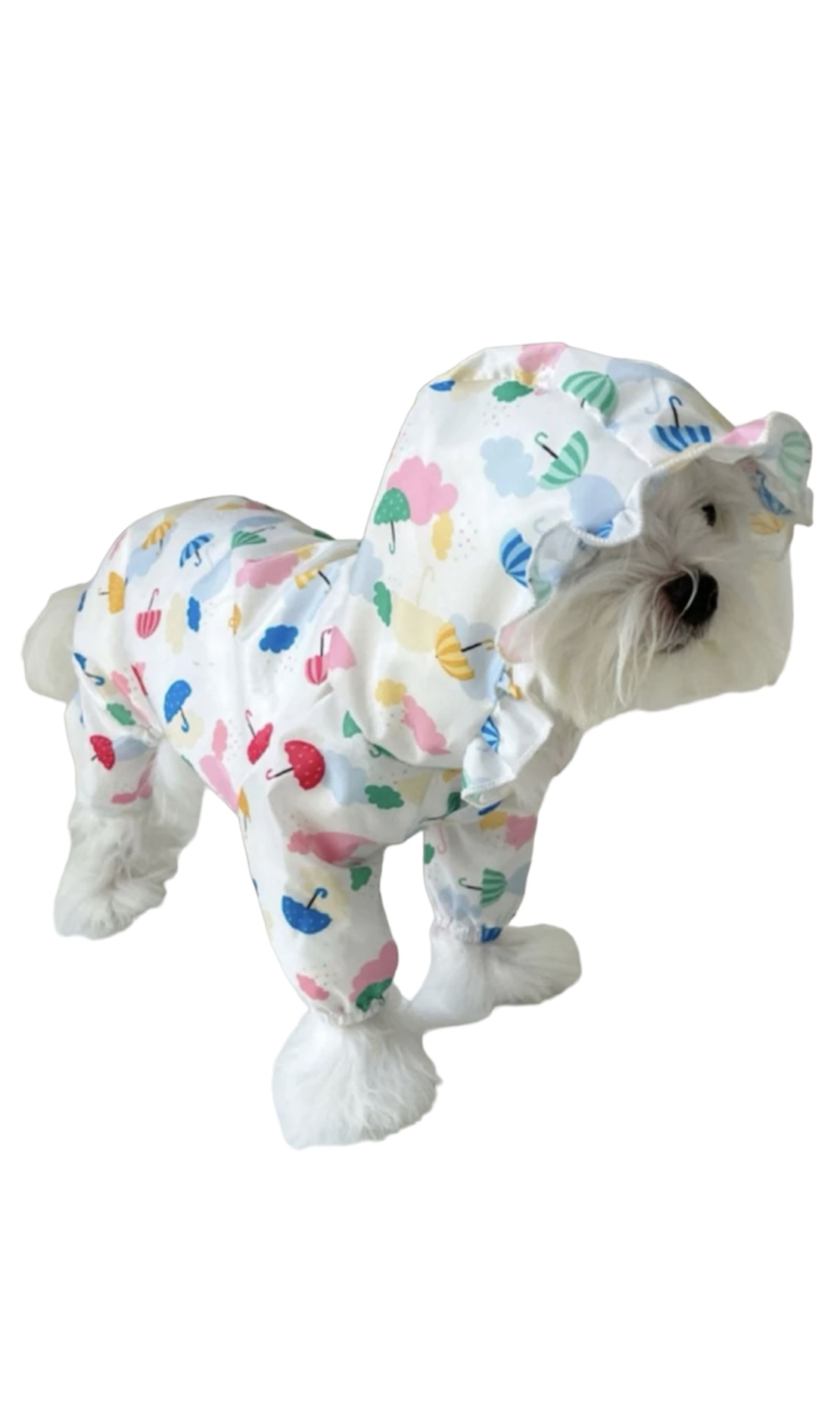 Raincoat Umbrella 34cm