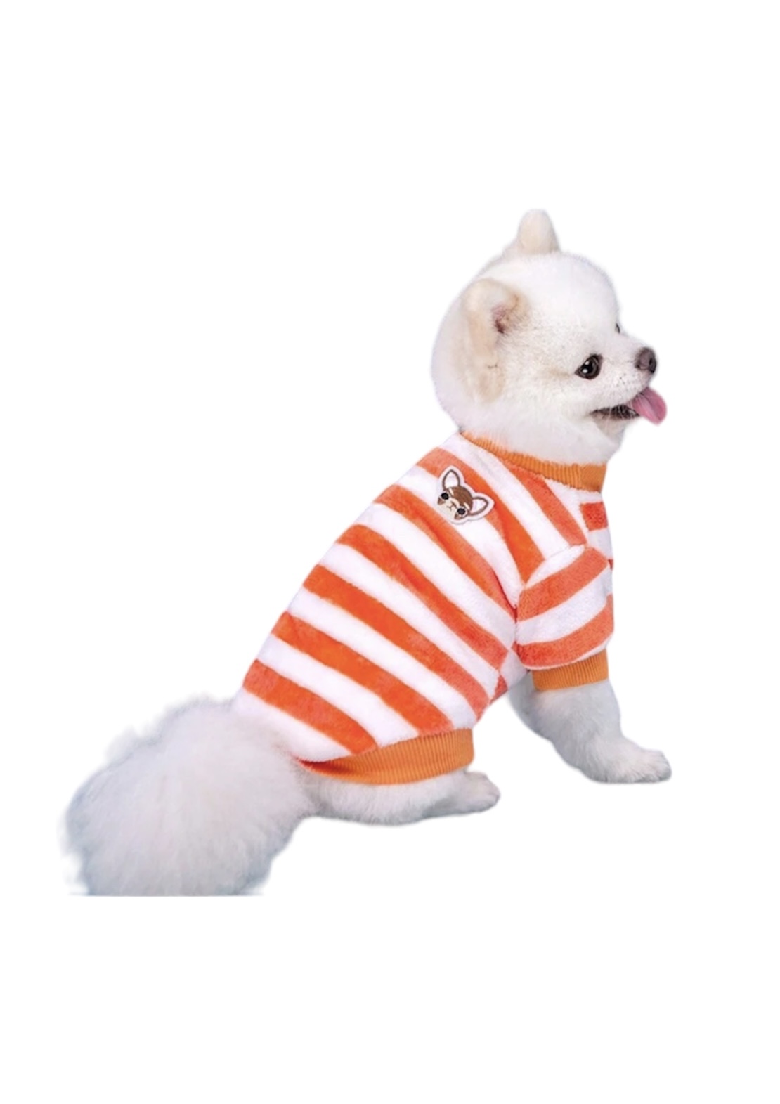 Dog Colors Orange XXL 45cm