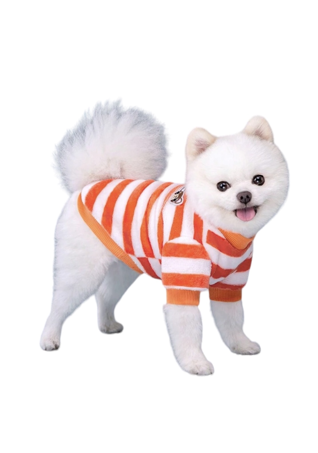 Dog Colors Orange XXL 45cm